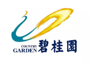 丰泽碧桂园地产